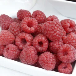 Raspberry Long-Cane -Garden Bulbs Store 330002 2