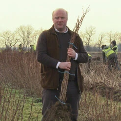 Raspberry Long-Cane -Garden Bulbs Store 330002 3