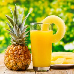 Edible Indoor Pineapple Plant - Ananas Comosus. 11 Edible Indoor Pineapple Plant - Ananas Comosus. -Garden Bulbs Store 340031 3