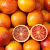 Blood Orange Citrus 2 Blood Orange Citrus -Garden Bulbs Store 340042