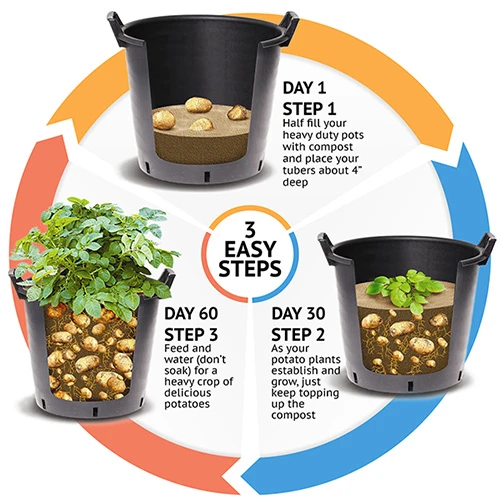 Complete Patio Potato Growing Kit 4 Complete Patio Potato Growing Kit - Image 2