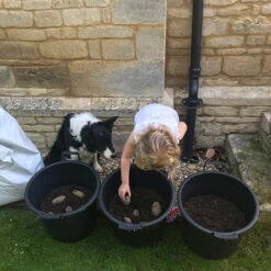 Complete Patio Potato Growing Kit 16 Complete Patio Potato Growing Kit -Garden Bulbs Store 350007 5