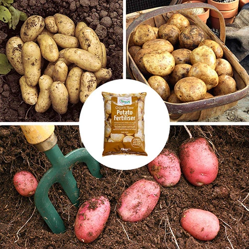 Complete Patio Potato Top-up Kit 3 Complete Patio Potato Top-up Kit