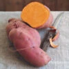 Sweet Potato Ipomoea Erato Orange 1 Sweet Potato Ipomoea Erato Orange -Garden Bulbs Store 350085