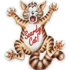 Coleus Canina 'Scardy Cat Plant' -Garden Bulbs Store 400092 3