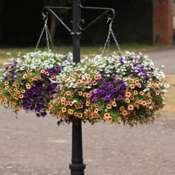 'Fruit Salad' Pre-Planted Basket -Garden Bulbs Store 450013 2