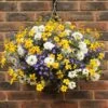 'Sherbet Lemon' Pre-Planted Basket -Garden Bulbs Store 450080