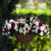Preplanted 'Cool Wave Berries & Cream' Rattan Basket -Garden Bulbs Store 450153
