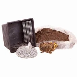 Water Lily Planting Kit - White -Garden Bulbs Store 580027 4