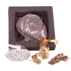 Floating Pond Plant Raft 9 Floating Pond Plant Raft -Garden Bulbs Store 580030 3