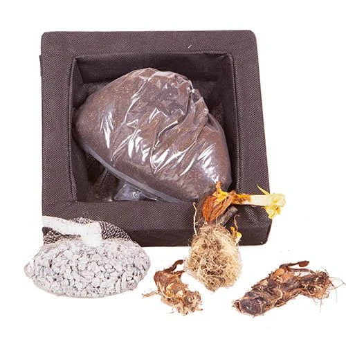 Floating Pond Plant Raft 6 Floating Pond Plant Raft - Image 4