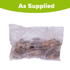 Polianthes Tuberosa 'The Pearl' -Garden Bulbs Store 630004 4