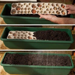 Blooming Fast Drop In Bulb Planter Balcony Beauty Pack -Garden Bulbs Store 630107 5