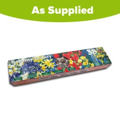 Blooming Fast Drop In Bulb Planter Balcony Beauty Pack -Garden Bulbs Store 630107 6