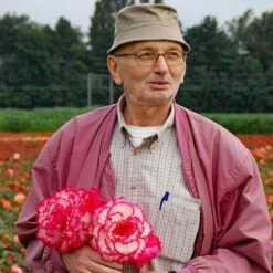 Belgian Giant Flowered Upright Begonias -Garden Bulbs Store 630192 4