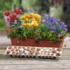 Summer Flowering Balcony Plant-O-Mat -Garden Bulbs Store 630217