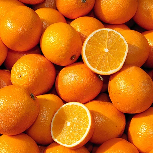 Large Orange Tree 5 Large Orange Tree - Image 3