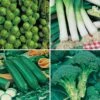 Greens Vegetable Seed Collection 2 Greens Vegetable Seed Collection -Garden Bulbs Store 700051