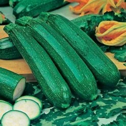 Greens Vegetable Seed Collection 10 Greens Vegetable Seed Collection -Garden Bulbs Store 700051 3