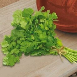 Herb Seed Collection -Garden Bulbs Store 700052 4